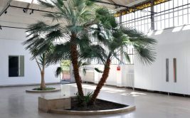 Exposition "Le jardin où nous existons pour correspondre à la distance" d'Emma Ben Aziza à la Serre
