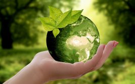 Semaine du développement durable à la Foire de Saint-Etienne