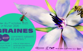 Graines : une exposition qui fait pousser la curiosité