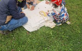 Les Ateliers des Babets : ateliers 3-6 et 6-11 ans