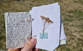 Les Ateliers des Babets : ateliers d'écriture en forêt