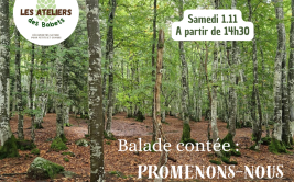 Les Ateliers des Babets : balade contée "Promenons-nous dans les bois..."