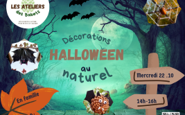 Les Ateliers des Babets : Décos naturelles pour Halloween