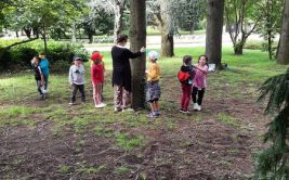 "Dans la peau d’un écureuil" - Balade sensorielle en famille