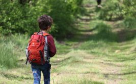 « Pierre feuille ciseau, des arbres et des pierres » - Balade ludique