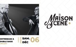 Concert classique et jazz - Contrebasse & double bass