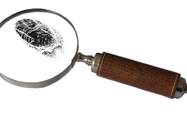 Chasse au trésor : la mystérieuse carte