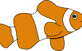 Labo Clown - Journée de découverte