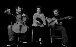 Concert - Amura Trio