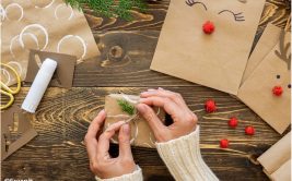 Rennes, sapin, ciseaux... En piste !