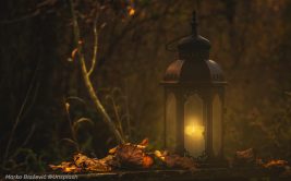 Heures du conte pour tout-petits