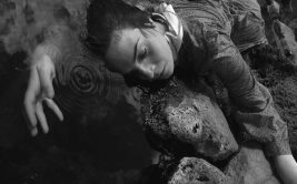 FDLC - Se fondre dans la matière