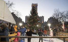 Patinoire sentier de glace