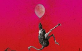 Festival de l'ornithorynque - 4ème édition