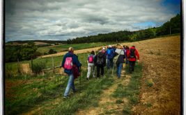 Marche en faveur du Téléthon