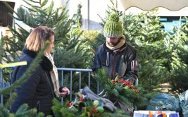 Marché aux sapins