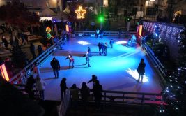 Animations du 8 décembre