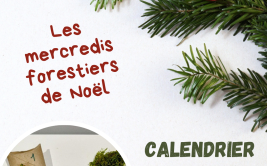 Les Ateliers des Babets : un calendrier de l'Avent nature