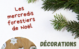 Les Ateliers des Babets : décorations de Noël au naturel