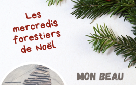 Les Ateliers des Babets : Mon beau sapin (suspendu)