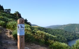 Ciné-rencontres de la Réserve et l'écoute du Hibou Grand-Duc