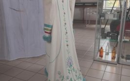 Visite guidée de l'exposition Farandole par l'artiste canadienne Colette Balcaen