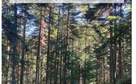 Présentation et dédicace du livre "Histoire de la forêt du Pilat"