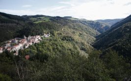 Exposition collective