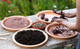 Atelier "À vos bombes, prêts, plantez !" (7-12 ans, accompagné) à Explora