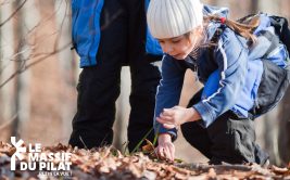 Hiver 2025/2026 - Bougez dans le Pilat - Jardin d'hiver des vacances (pour les enfants de 5 à 12 ans)
