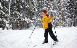 Hiver 2025/2026 - Bougez dans le Pilat - Jardin d'hiver du dimanche (pour les enfants de 5 à 12 ans)
