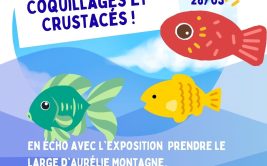 Dessine la Mer, Coquillages et Crustacés !