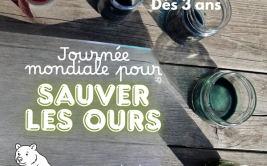 Les Ateliers des Babets "Des ours au Bessat !"