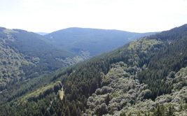 Sentier du Toile