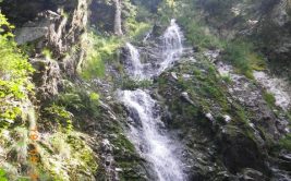 Sentier du Bost au Crêt de la Perdrix