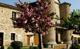 Sainte Croix en Jarez: typical and atypical.