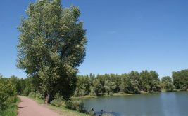Parc des Bords de Loire