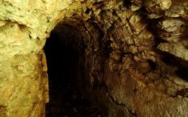 Parcourir les sentiers de Chagnon - La Cave du Curé