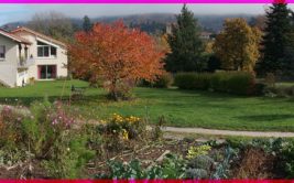 Meublé La Riviere