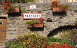 Visite Guidée - Tartaras / Les coteaux du Gier, la renaissance d'une terre viticole