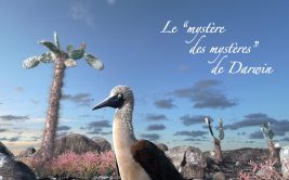 Projection - Sélection Naturelle 3D