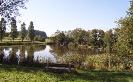 L'étang Colcombet et la Mare aux fées