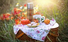 Picnic on the banks of the Loire