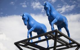 Blue horses by Assan Smati