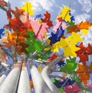 The multi-coloured tree by Philippe Million