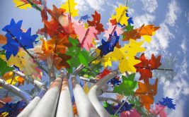 The multi-coloured tree by Philippe Million