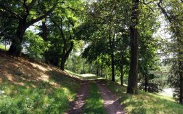 Jardin des Plantes