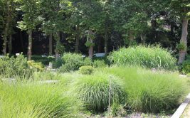 Art And Industry Museum Garden