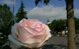 Balade Visitez Chamboeuf / Village Jardin