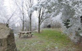Picnic area of the Collet de Doizieux